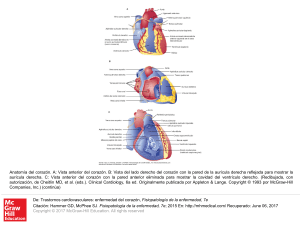 Slide 1 - AccessMedicina