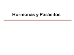 12_Hormonas_y_Parasitos