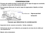 Causas que favorecen la formación del rocío