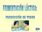 fermentación láctica