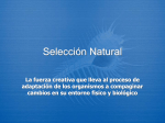 AV-seleccion-natural