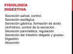 Fisiología digestiva - Aula Virtual FCEQyN