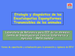 Etiología y diagnóstico de las Encefalopatías Espongiformes