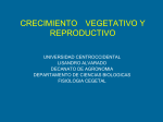 CRECIMIENTO VEG y REP - Mis Clases fisiologia vegetal