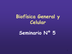bgc2010-seminario5t
