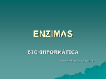enzimas - Departamento de Sistemas Informáticos