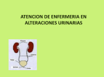 atencion de enfermeria en alteraciones urinarias