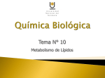 Tema N° 10. Metabolismo de Lípidos