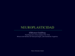 Neuroplasticidad.pps