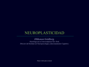 Neuroplasticidad.pps