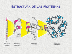 Proteinas 3 - Liceo Francisco Coloane, Castro Chiloé