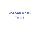 Virus Oncogénicos