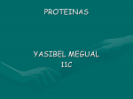 proteinas-yasi - IHMC Public Cmaps (3)