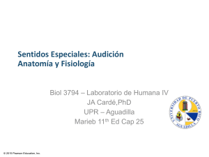Sensaciones Especiales_Audicion