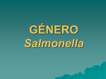 GÉNERO Salmonella