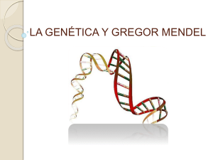 4.3 La genética y Gregor Mendel