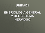 unidad i embriología general y del sistema nervioso