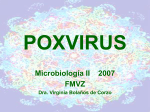 POXVIRUS