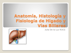 Anatomía, Histología y Fisiología de Higado y Vias Biliares