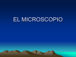 el Microscopio