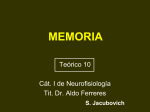 Jacubovich - Memoria