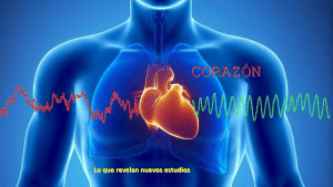 Misterios del Corazon