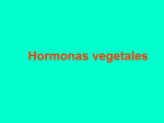Hormonas vegetales 1y2+Otros