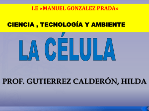 ESTUDIO DE LA CÉLULA