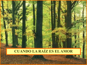 cuando la ra&iacute;z es el amor