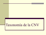 Taxonomía de la CNV - educadultos