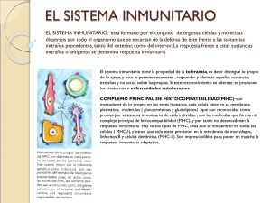 el sistema inmunitario - ies hoces del duratón
