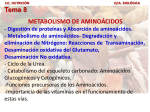 AMINOACIDOS - quimicabiologicaunsl