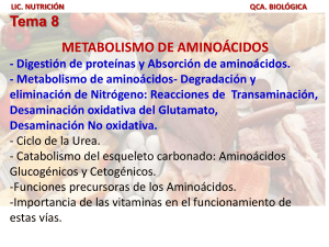 AMINOACIDOS - quimicabiologicaunsl