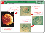 Sin título de diapositiva