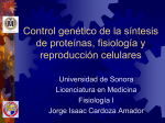 Control genético de la síntesis de proteínas