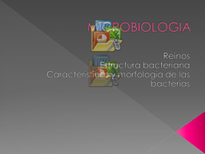 MICROBIOLOGIA