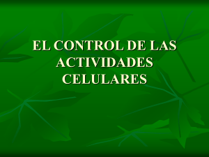 Control actividades celulares