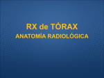 Diapositiva 1 - Radiología Hospital Punta de Europa