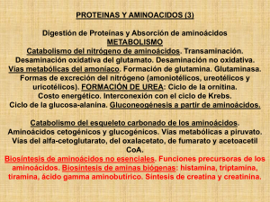 Diapositiva 1 - quimicabiologicaunsl