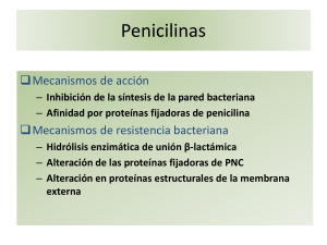 ANTIBIOTICOS - Aula Virtual FCEQyN