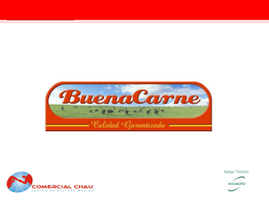 Presentación de PowerPoint