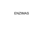 enzimas: biocatalizadores