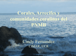 Corales, Arrecifes y comunidades coralinas del PNMB