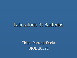 Lab. 3: Bacterias