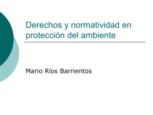 Mario Ríos Barrientos – Derecho y mineria