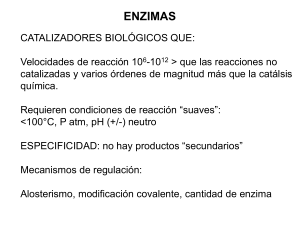 Presentación de PowerPoint - Bioquímica grupo 4 FQ UNAM