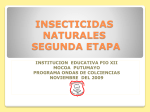 insecticidas naturales segunda etapa