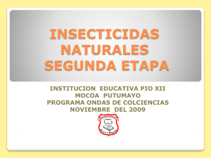 insecticidas naturales segunda etapa