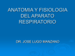 anatomia y fisiologia del aparato respiratorio