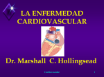 150801 enfermedad cardiovascular